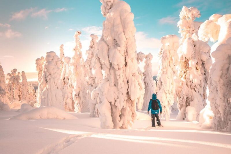 Rovaniemi: Hiking and Snowshoeing Adventure in Lapland - FAQ