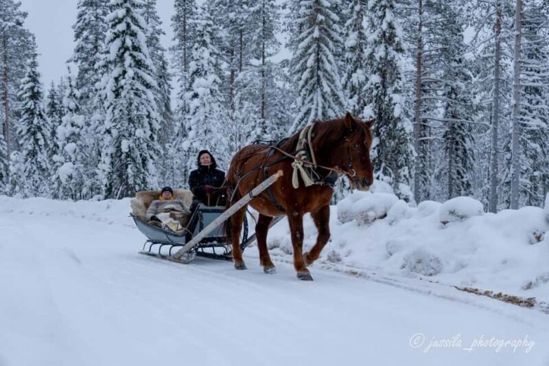 Rovaniemi: Horse-Drawn Sleigh Ride with Snacks and Transfer - The Experience Provider: Kotatuli Experience