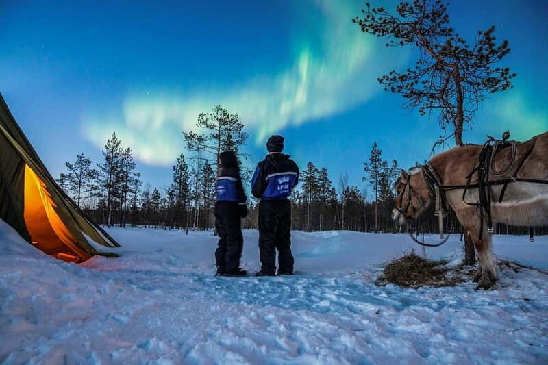 Rovaniemi: Horse Sleigh Ride under the Night Sky - The Physical and Logistical Aspects