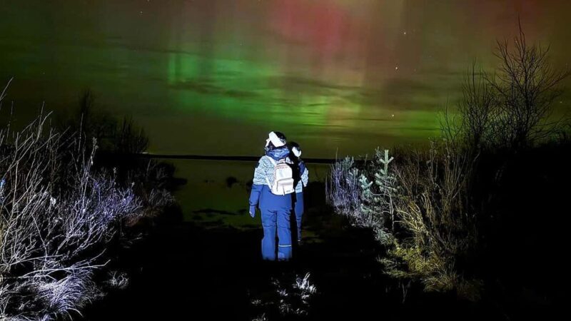 Rovaniemi: hunting for the Northern Lights with BBQ - The Itinerary in Detail