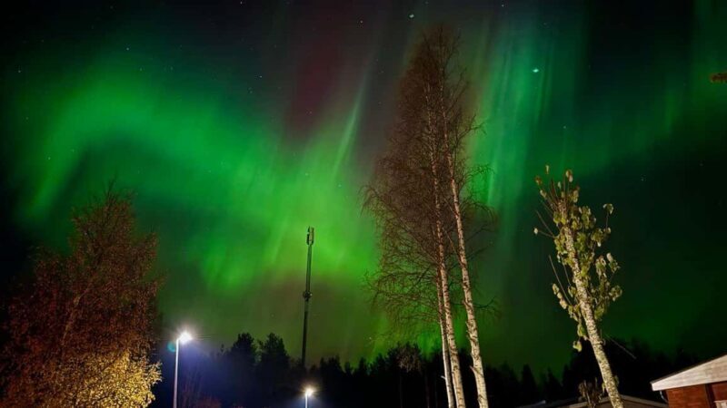 Rovaniemi: hunting for the Northern Lights with BBQ - Who Should Consider This Tour?