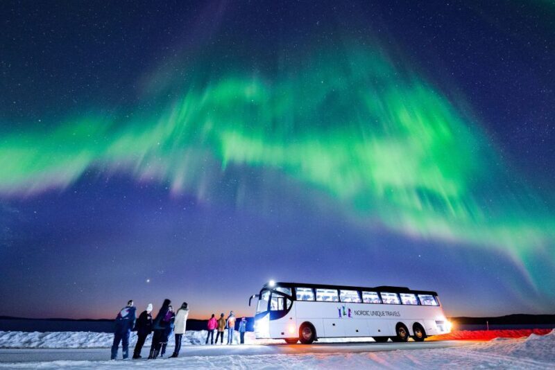 Rovaniemi: Hunting Northern Lights Bus Tour - Key Points