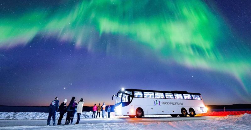 Rovaniemi: Hunting Northern Lights Bus Tour - A Detailed Look at the Experience