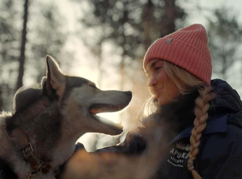 Rovaniemi: Husky Farm Visit - Final Thoughts