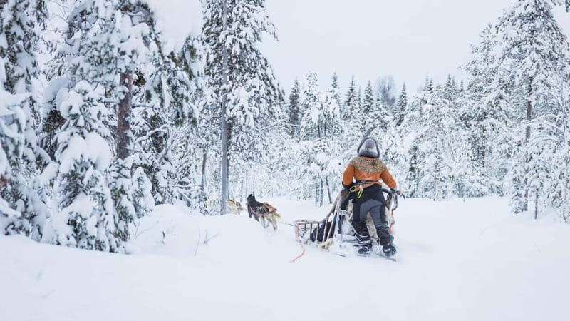 Rovaniemi: Husky & Reindeer Experience with Snowmobile Ride - Key Points