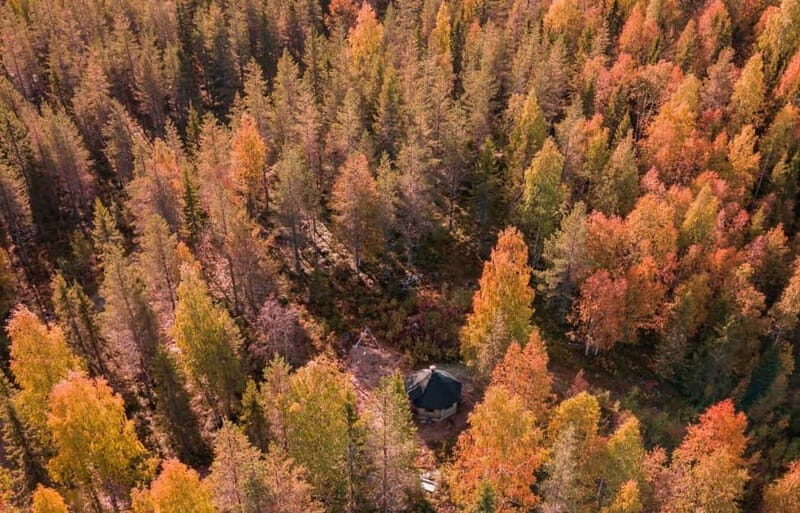 Rovaniemi: Husky Safari & Campfire BBQ  610 km SelfDrive - Final Thoughts