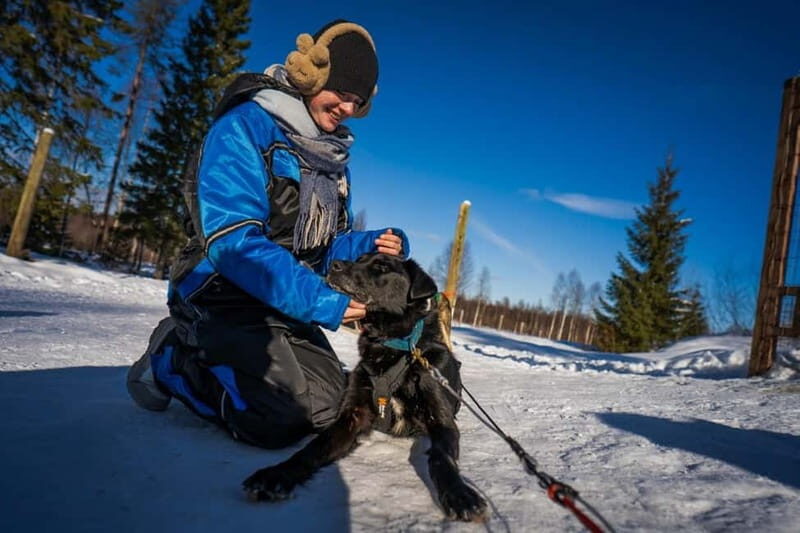 Rovaniemi: Husky Safari & Campfire BBQ 610 km SelfDrive - Final Thoughts