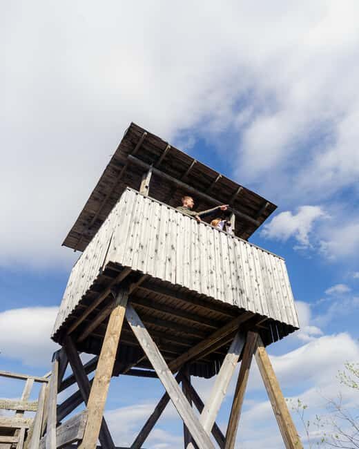 Rovaniemi: Insider Arctic Birdwatching Tour - FAQ