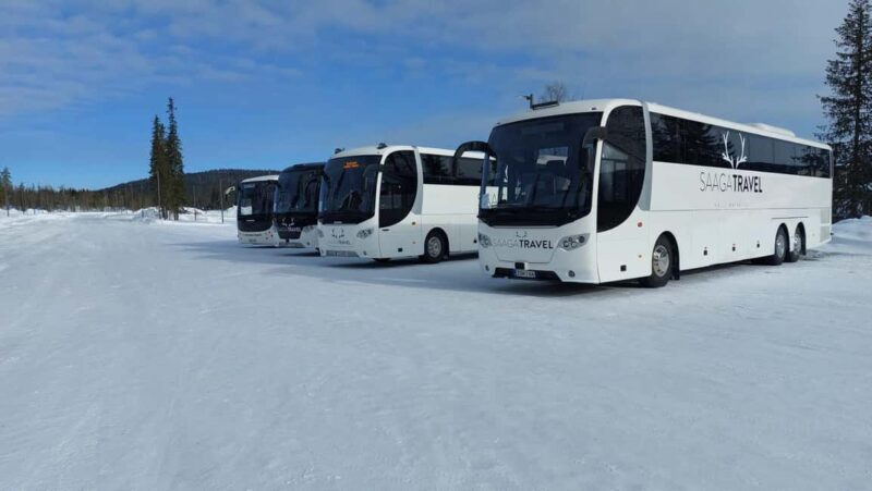 Rovaniemi: Insider Northern Lights Bus with Drinks & Snacks - Key Points