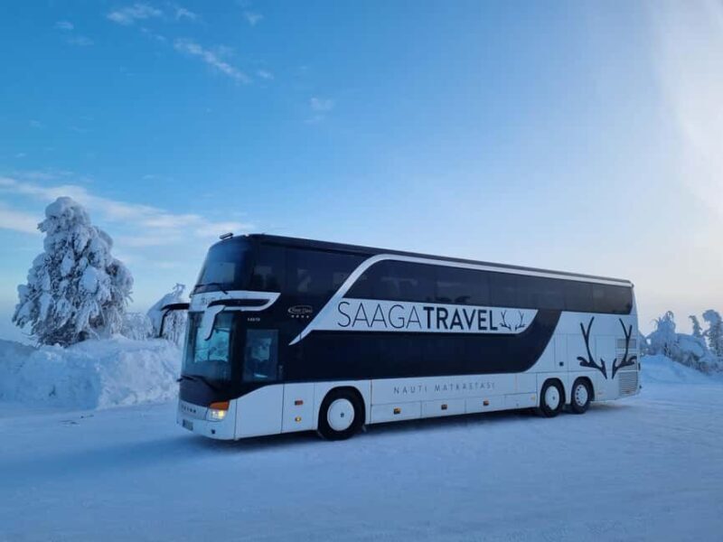 Rovaniemi: Insider Northern Lights Bus with Drinks & Snacks - What to Expect from the Experience
