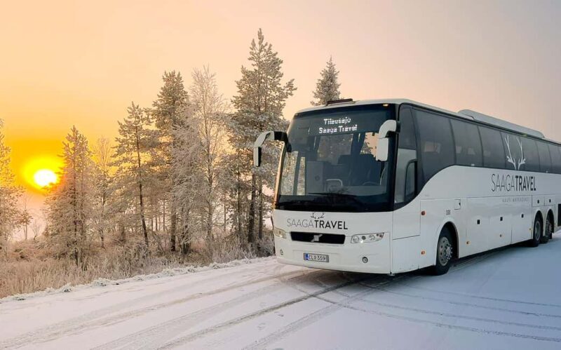 Rovaniemi: Insider Northern Lights Bus with Drinks & Snacks - What’s Included and What’s Not