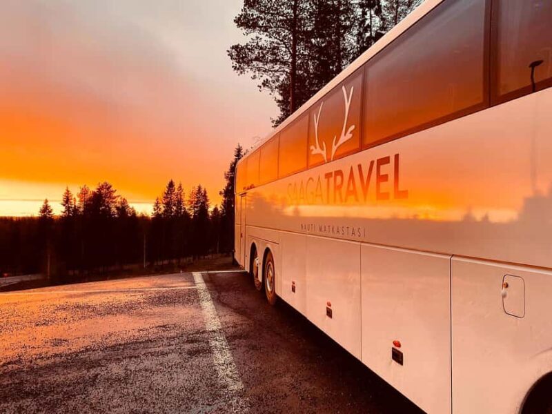 Rovaniemi: Insider Northern Lights Bus with Drinks & Snacks - Practical Tips for Travelers