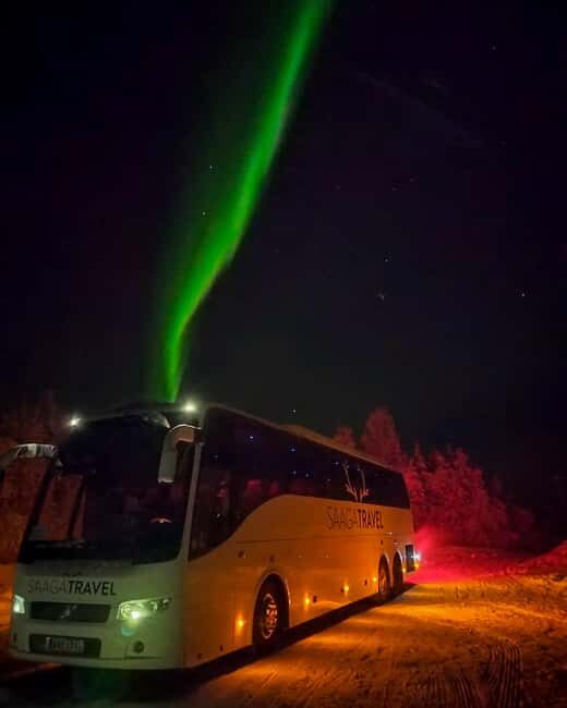 Rovaniemi: Insider Northern Lights Bus with Drinks & Snacks - Final Thoughts
