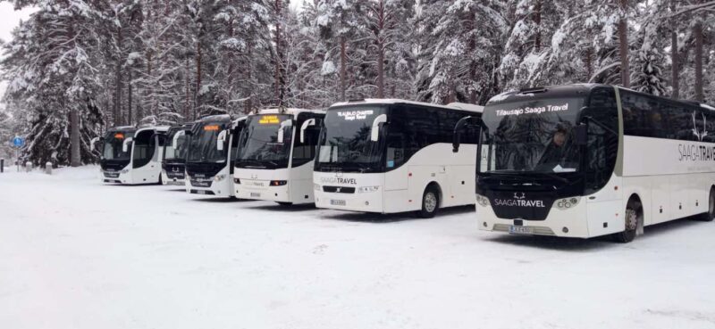 Rovaniemi: Insider Northern Lights Bus with Drinks & Snacks - FAQ