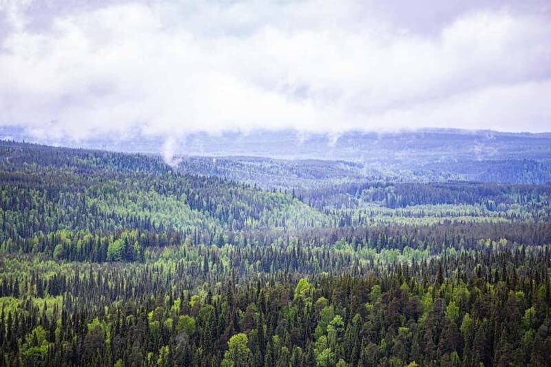 Rovaniemi: Korouoma Canyon and Auttiköngäs Falls Tour - Key Points