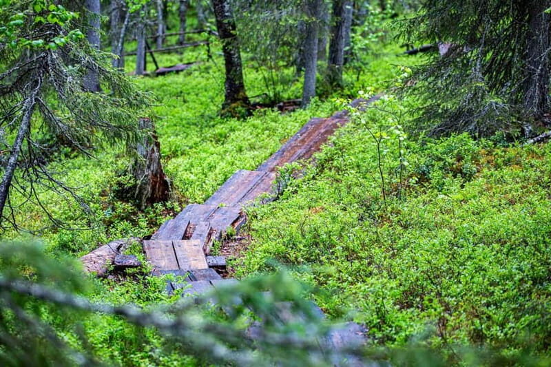 Rovaniemi: Korouoma Canyon and Auttiköngäs Falls Tour - The Experience in Detail