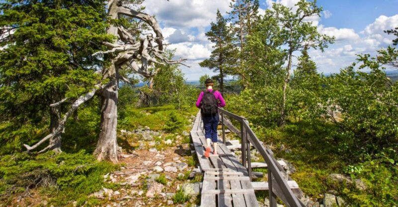Rovaniemi: Korouoma Canyon Hike and Barbecue Experience - Key Points
