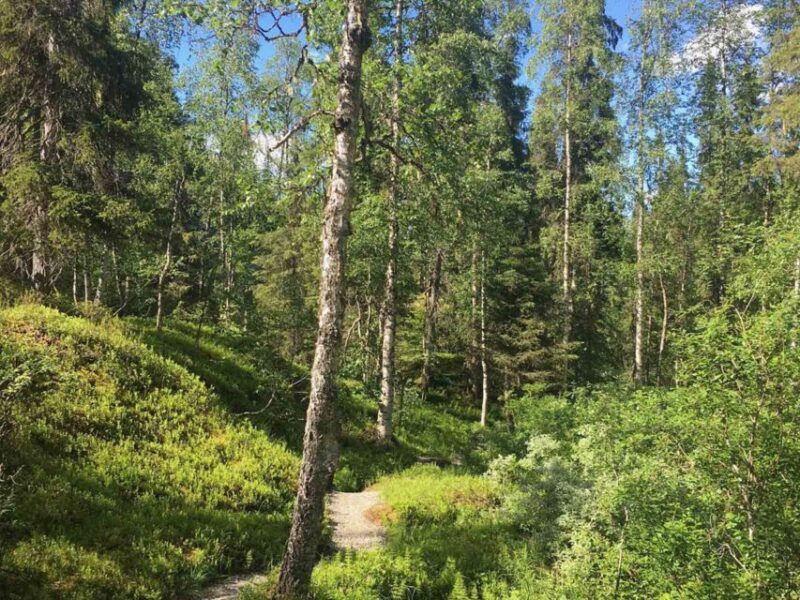 Rovaniemi: Korouoma Canyon Hike and Barbecue Experience - Final Thoughts