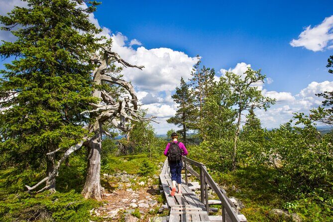Rovaniemi: Korouoma Canyon Hike and Barbecue Experience - Discovering Korouoma Canyon: What to Expect