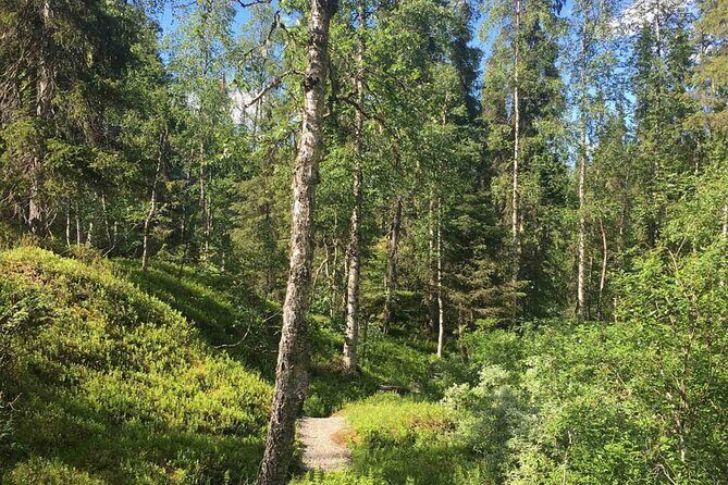 Rovaniemi: Korouoma Canyon Hike and Barbecue Experience - What Reviewers Say
