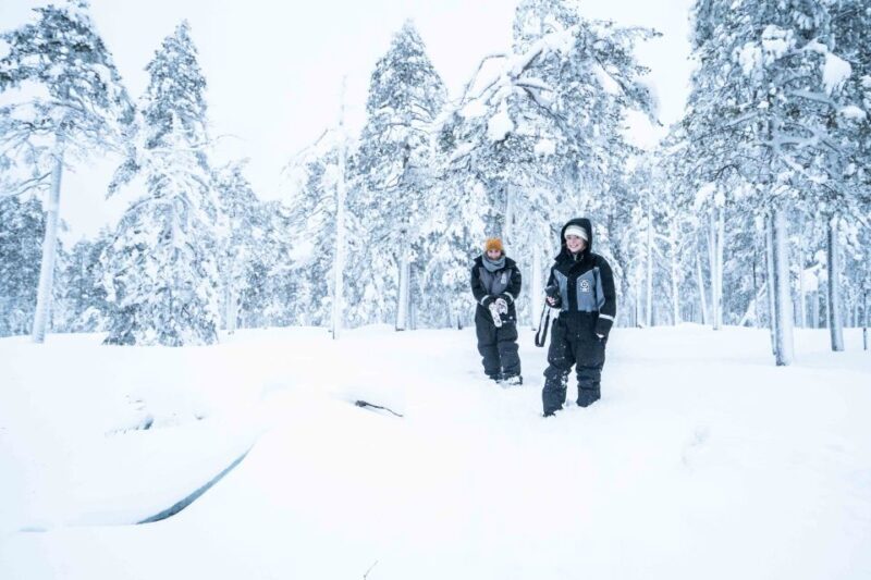 Rovaniemi: Nordic Forest Wilderness Adventure - Key Points