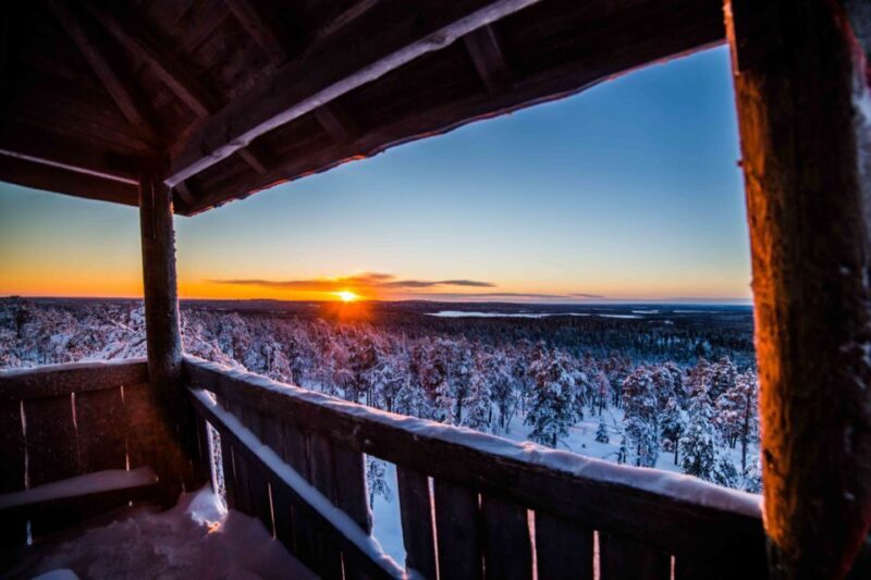 Rovaniemi: Nordic Forest Wilderness Adventure - Who Should Consider This Experience?