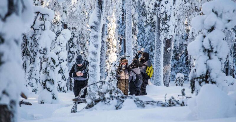 Rovaniemi: Nordic Forest Wilderness Adventure - FAQ