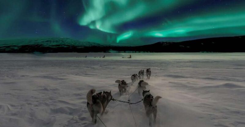Rovaniemi: Northern Lights and Husky Sleigh Ride - Practical Details and Tips