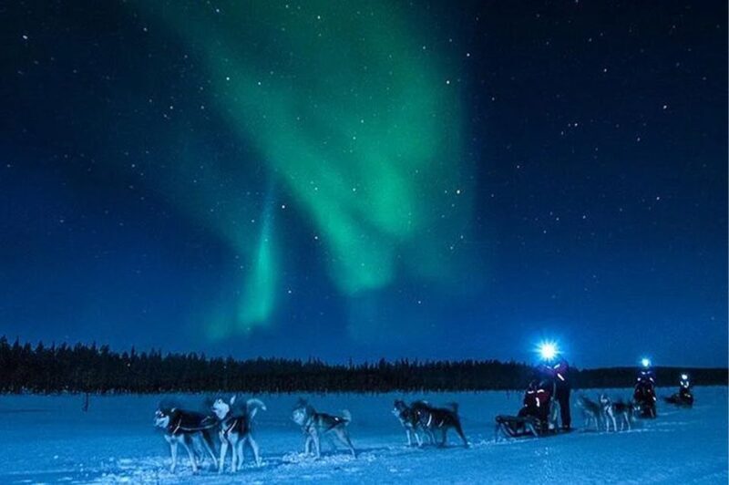 Rovaniemi: Northern Lights and Husky Sleigh Ride - Authentic and Unforgettable Moments