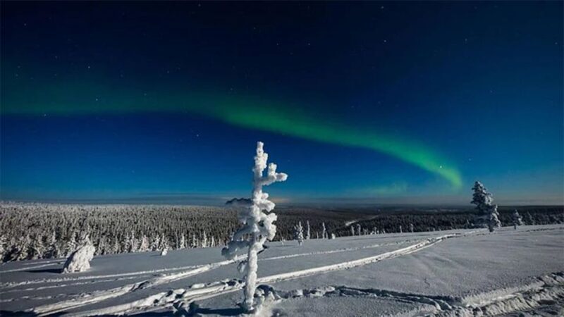 Rovaniemi: Northern Lights and Husky Sleigh Ride - FAQs