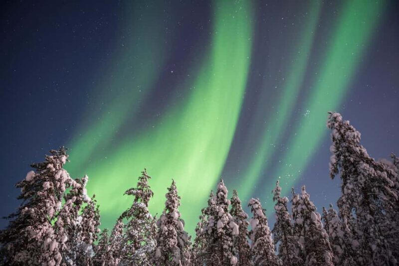 Rovaniemi: Northern Lights Hunt & Photography Experience - Why This Tour Stands Out