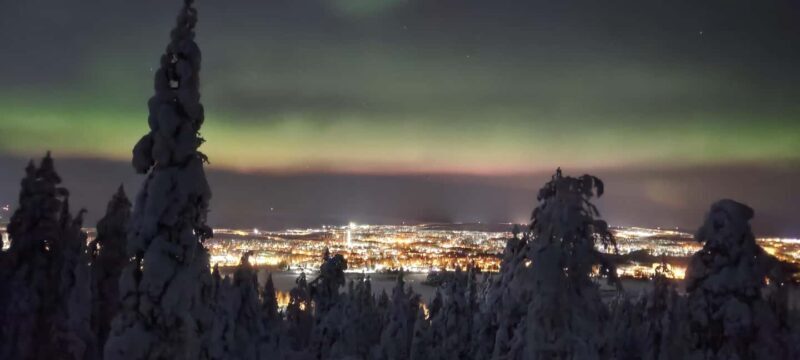 Rovaniemi: Northern Lights Hunt with Local Guides - Rovaniemi: Northern Lights Hunt with Local Guides — An In-Depth Review