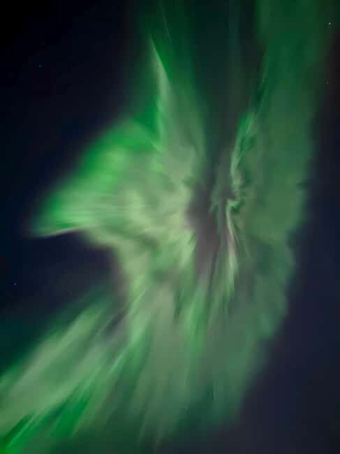 Rovaniemi: Northern Lights Hunt with Local Guides - Key Points