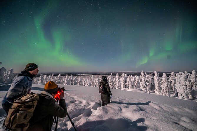 Rovaniemi Northern Lights Photography Small-Group Tour - Final Thoughts