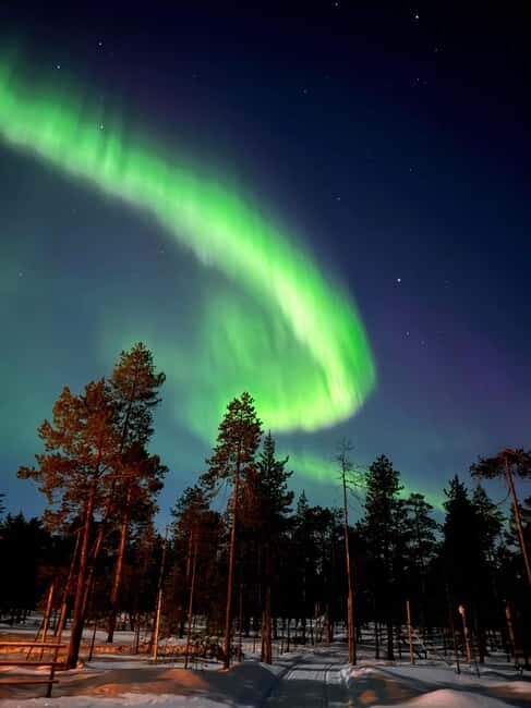 Rovaniemi: Northern Lights Safari on Electric Snowmobile - Key Points