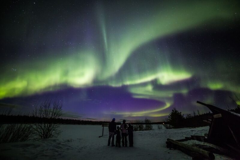 Rovaniemi: Northern Lights Sledge Ride - Final Thoughts