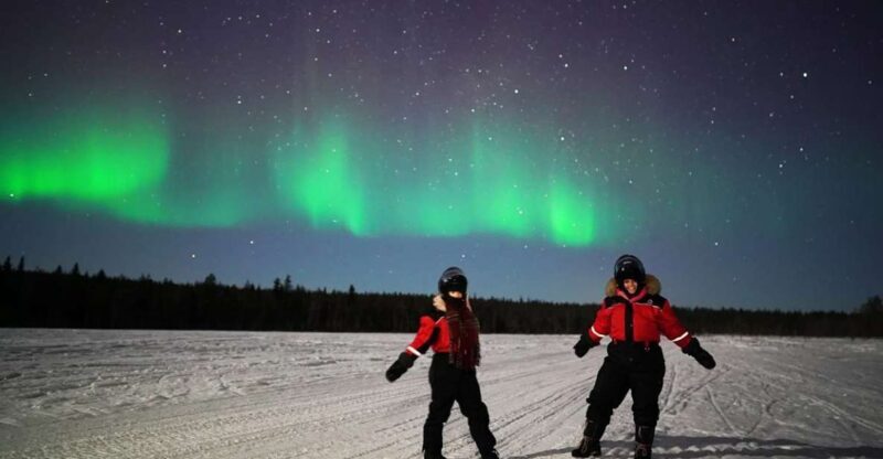 Rovaniemi: Northern Lights Sleigh Ride - A Deep Dive into the Experience