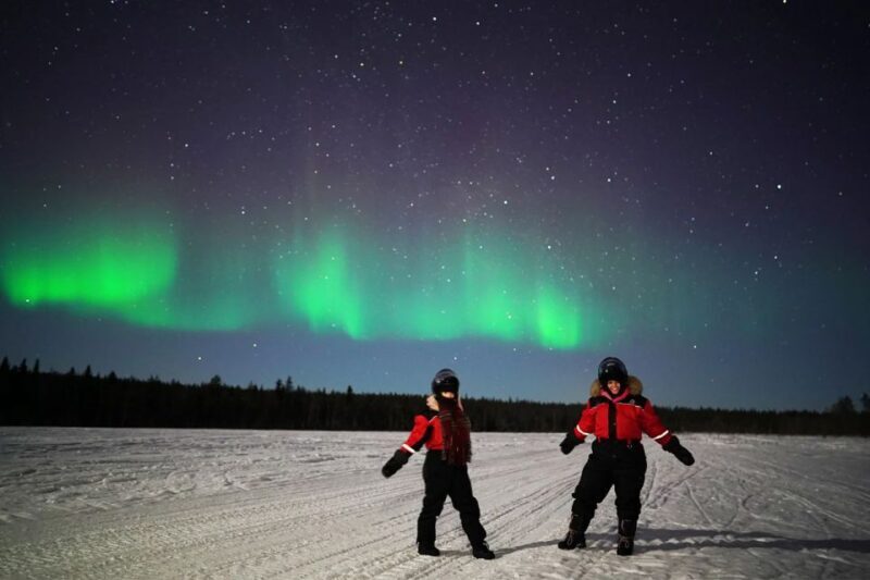 Rovaniemi: Northern Lights Sleigh Ride - Who Should Book This Tour?
