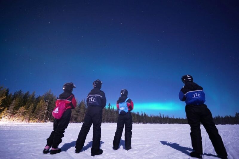Rovaniemi: Northern Lights Sleigh Ride - Frequently Asked Questions