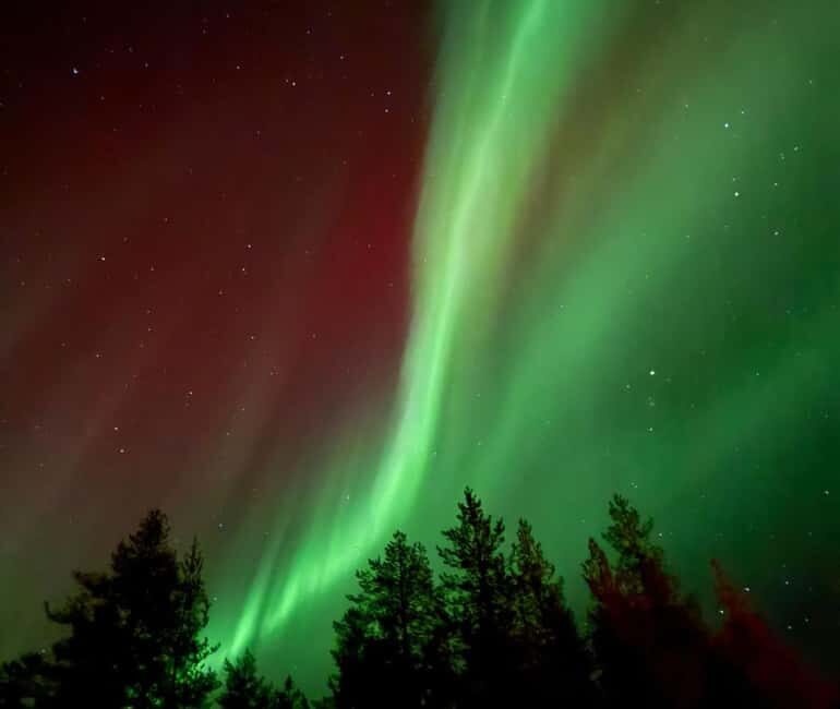 Rovaniemi: Northern Lights Tour - Aurora Viewing Guaranteed - Key Points