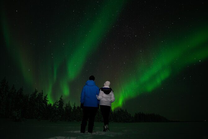 Rovaniemi: Northern Lights Tour - Key Points