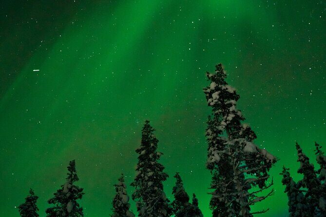 Rovaniemi: Northern Lights Tour - What to Expect from the Rovaniemi Northern Lights Tour