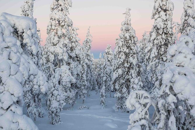 Rovaniemi photography tour - FAQ