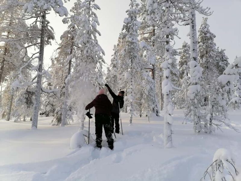 Rovaniemi: Private 3h Snowshoeing hike - Key Points