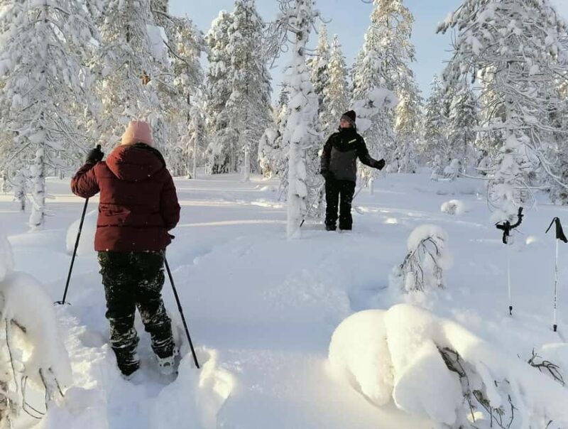 Rovaniemi: Private 3h Snowshoeing hike - A Deeper Look into the Snowshoeing Experience
