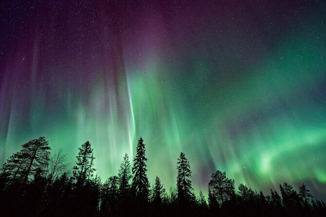 Rovaniemi: Private Aurora Tour with Guaranteed Sightings - Who Should Consider This Tour?
