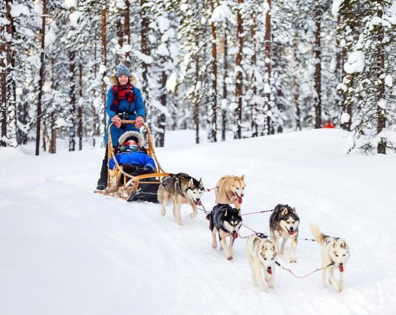 Rovaniemi: Private Santa Claus Village Tour - FAQs
