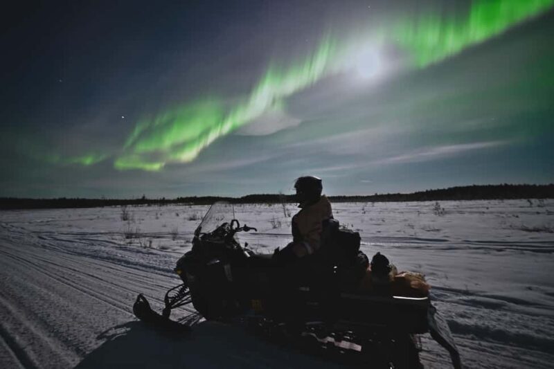 Rovaniemi: Private Snowmobile Trip With Local Guide - The Experience: A Closer Look