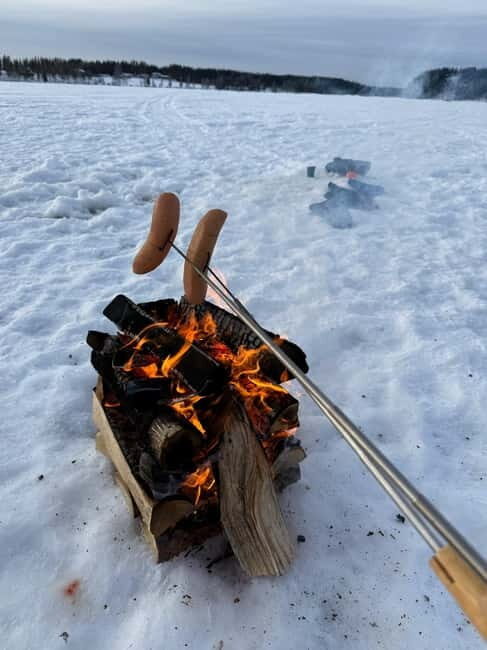 Rovaniemi: Private Snowmobile Trip With Local Guide - Who Will Enjoy This Tour?