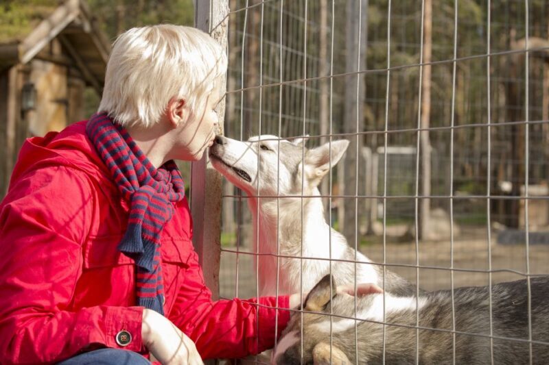 Rovaniemi: Quad Bike Safari, Reindeer & Husky Farm Visit - Final Thoughts